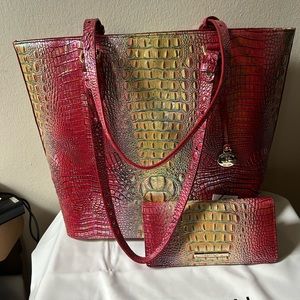 BRAHMIN ELLEN SND ADY WALLET DRAGONFRUIT MINI OMBRÉ MELBOURNE